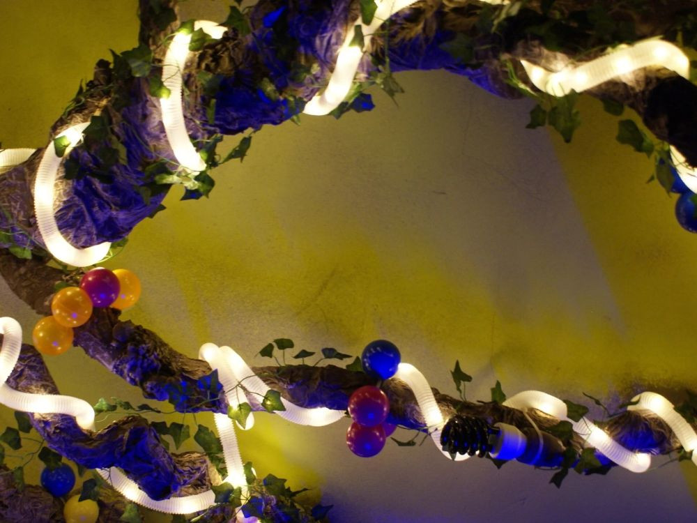 Escape room Cyberdżungla - Zdjęcie 3/3