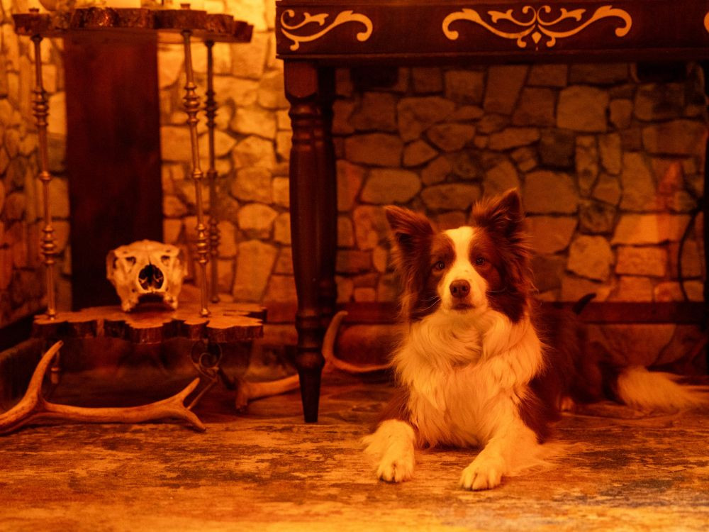 Escape room Magiczny: Polska Szkoła Magii - Zdjęcie 4/8