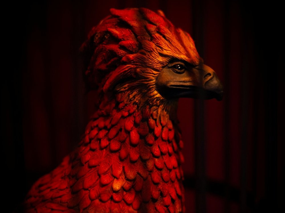 Escape room Powrót czarnoksiężnika - Zdjęcie 6/8